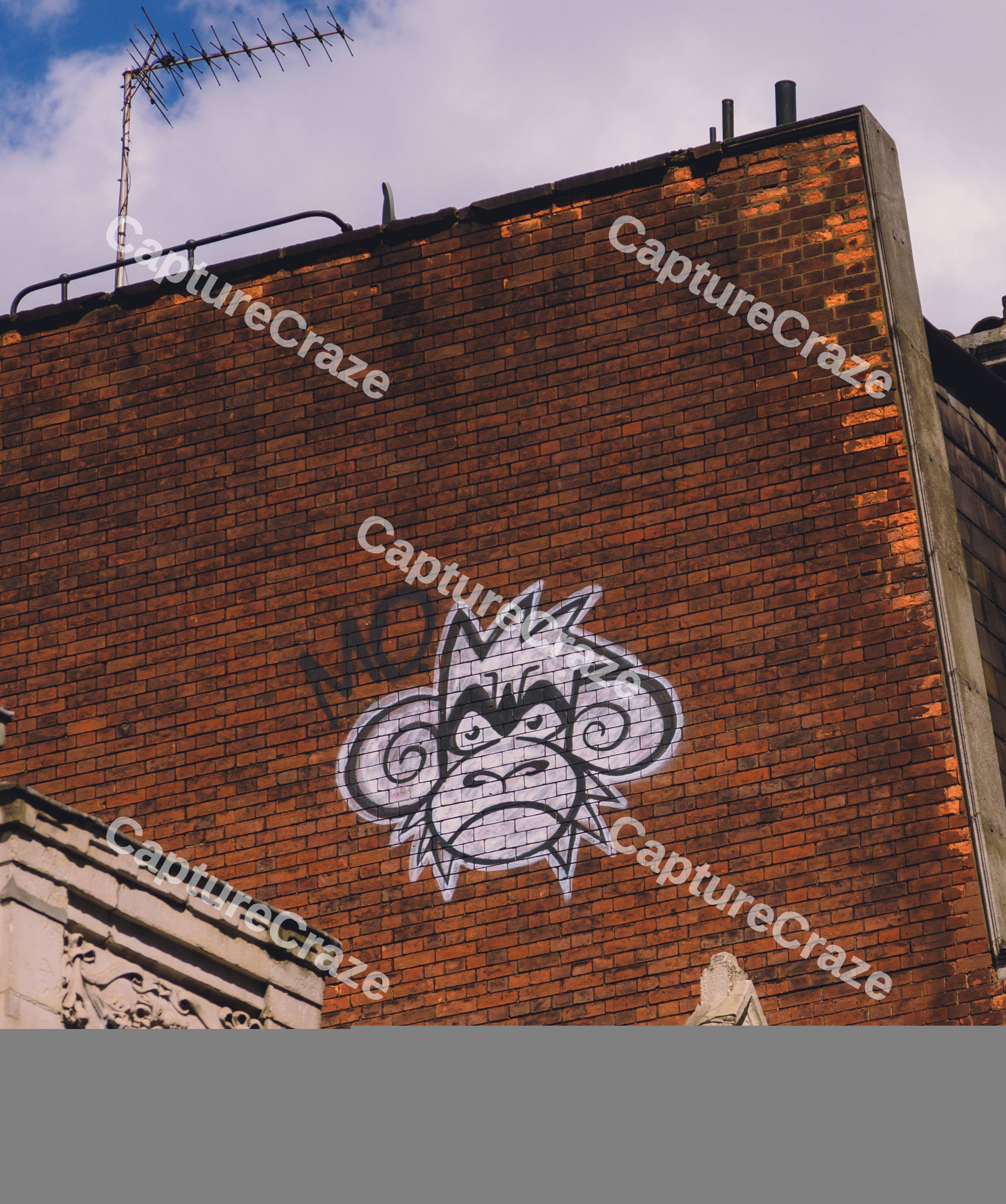 Graffiti Monkey